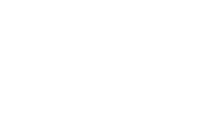 Polestar.webp